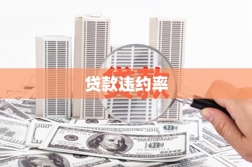 烈山贷款违约率