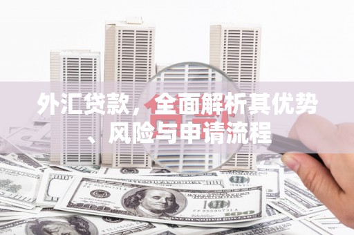 烈山外汇贷款，全面解析其优势、风险与申请流程