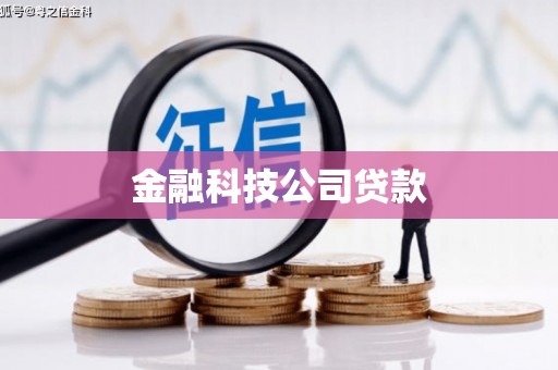 烈山金融科技公司贷款