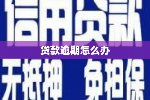 烈山贷款逾期怎么办