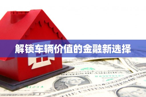 烈山解锁车辆价值的金融新选择