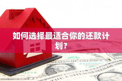 烈山如何选择最适合你的还款计划？