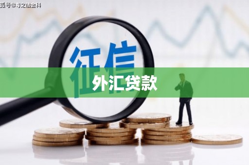 烈山外汇贷款