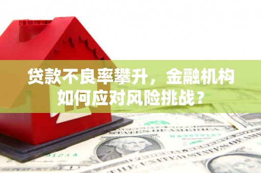 烈山贷款不良率攀升，金融机构如何应对风险挑战？