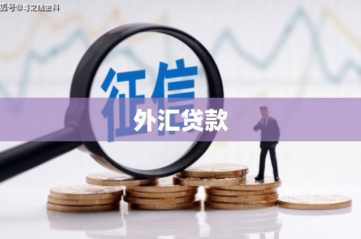 烈山外汇贷款