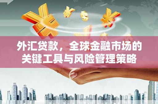 烈山外汇贷款，全球金融市场的关键工具与风险管理策略