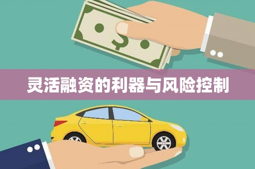 烈山灵活融资的利器与风险控制