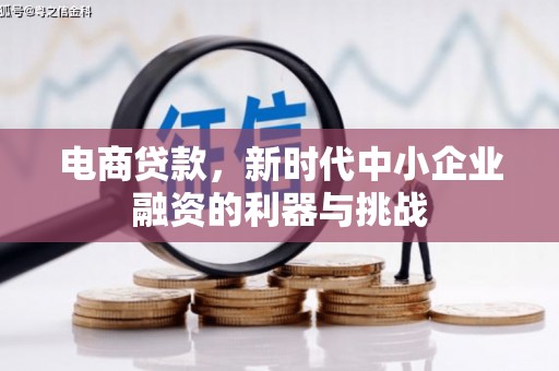 烈山电商贷款，新时代中小企业融资的利器与挑战