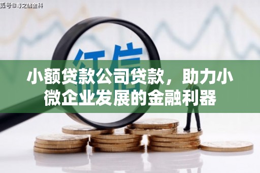 烈山小额贷款公司贷款，助力小微企业发展的金融利器