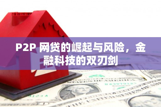 烈山P2P 网贷的崛起与风险，金融科技的双刃剑