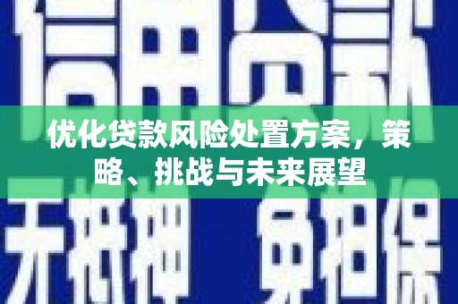 烈山优化贷款风险处置方案，策略、挑战与未来展望