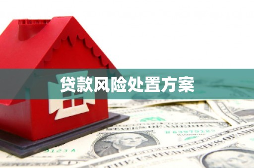 烈山贷款风险处置方案