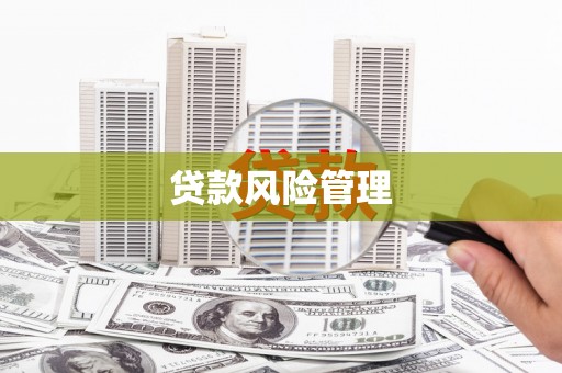 烈山贷款风险管理