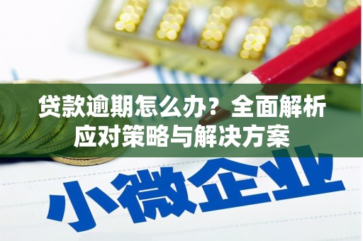 烈山贷款逾期怎么办？全面解析应对策略与解决方案