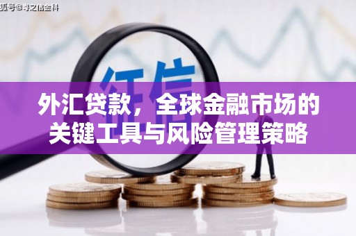 烈山外汇贷款，全球金融市场的关键工具与风险管理策略