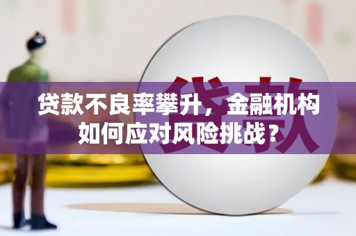 烈山贷款不良率攀升，金融机构如何应对风险挑战？
