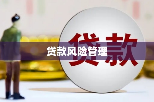 烈山贷款风险管理