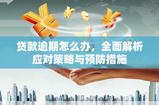 烈山贷款逾期怎么办，全面解析应对策略与预防措施