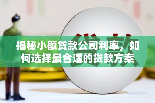 烈山揭秘小额贷款公司利率，如何选择最合适的贷款方案