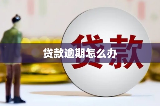 烈山贷款逾期怎么办
