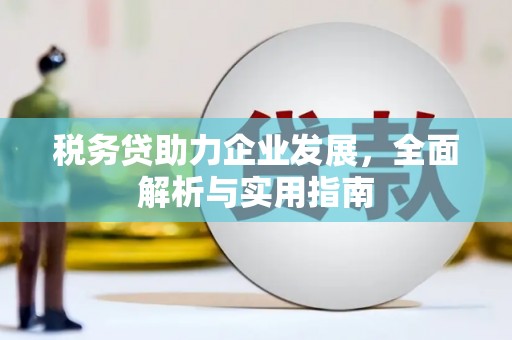 烈山税务贷助力企业发展，全面解析与实用指南