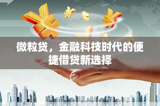 烈山微粒贷，金融科技时代的便捷借贷新选择