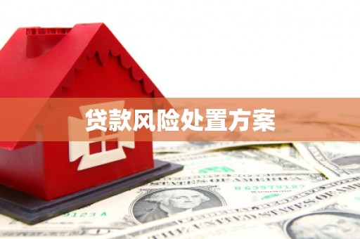 烈山贷款风险处置方案