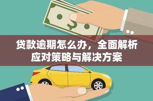 烈山贷款逾期怎么办，全面解析应对策略与解决方案